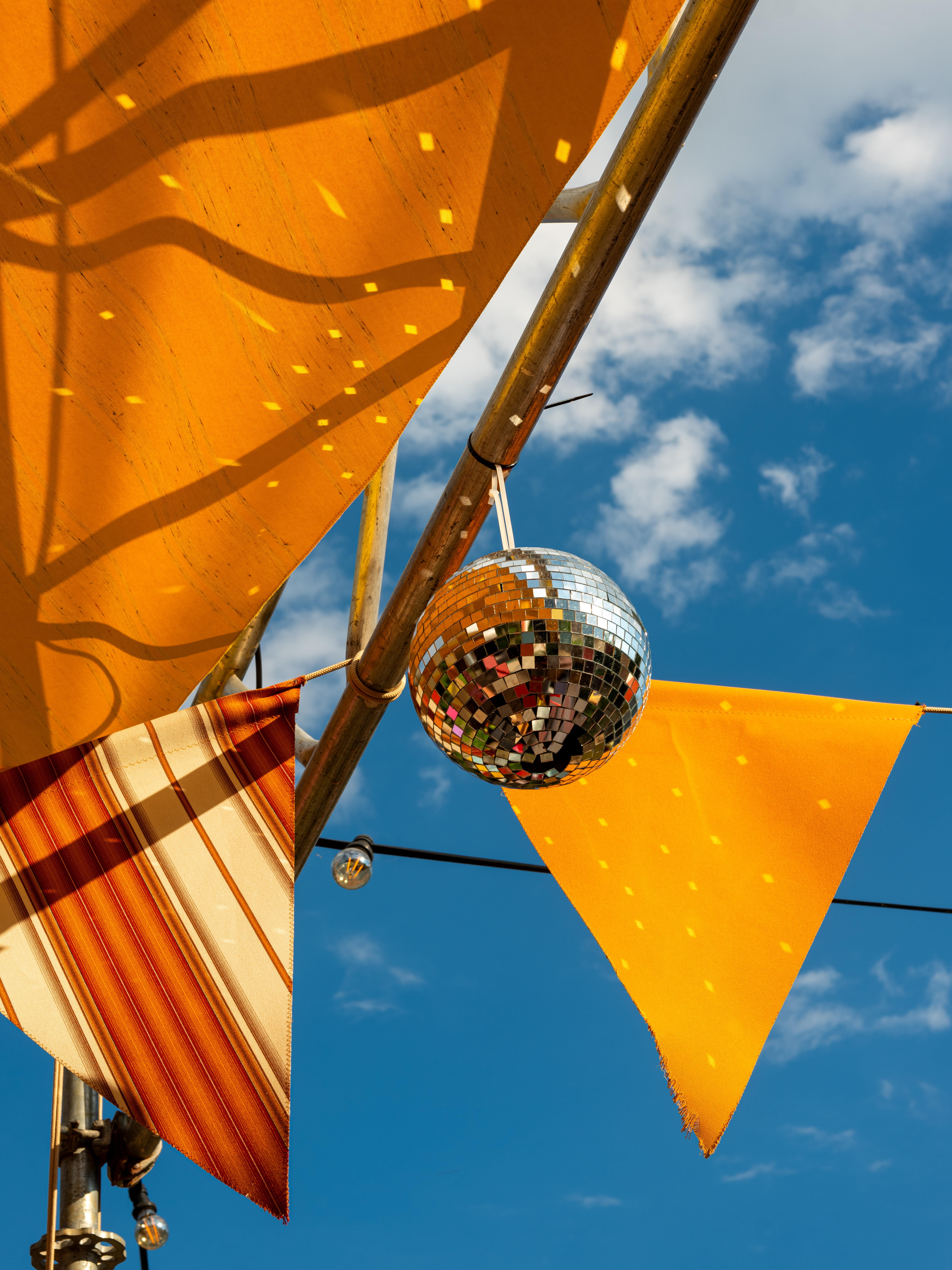 Polenta7000 2024 290