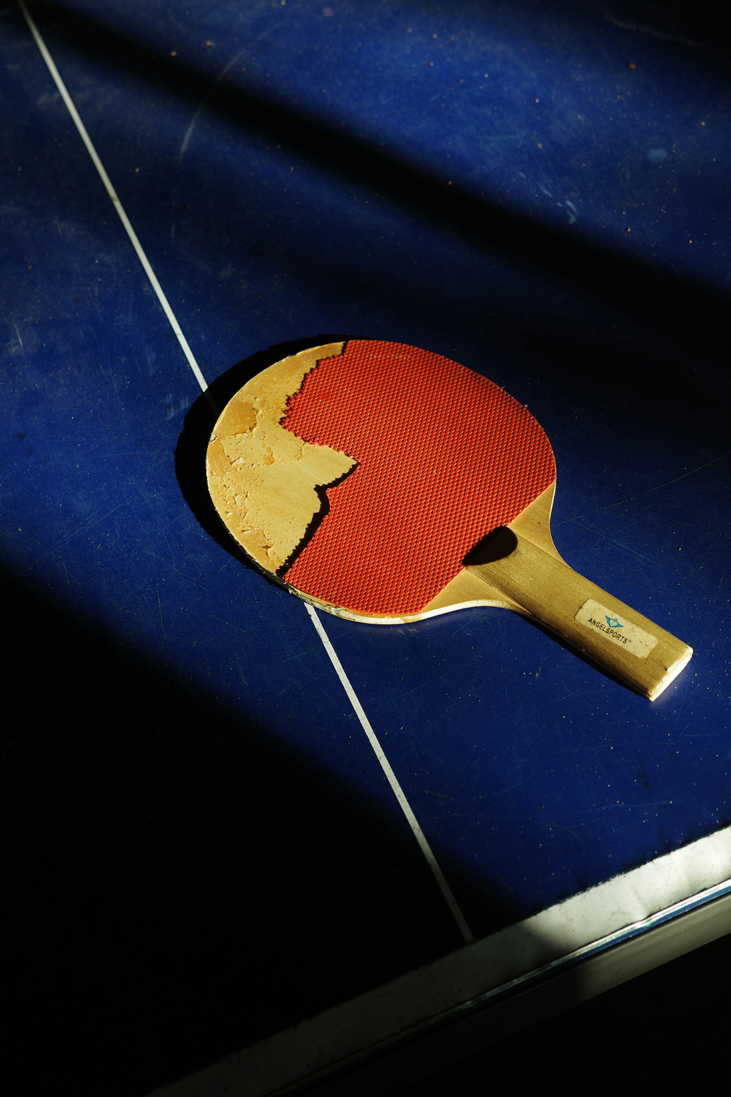 Pingpong Madness